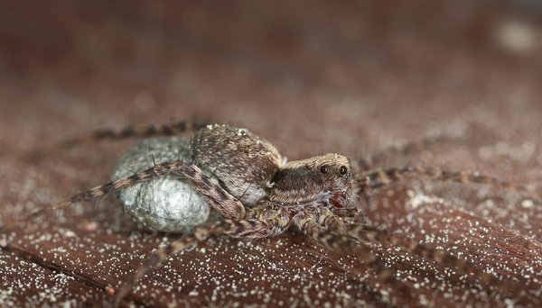 Quels sont les points clés pour choisir un sac à main fonctionnel et tendance pour le travail ?